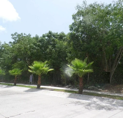 Venta de 2 terrenos escriturados en Residencial Villa Magna Cancún