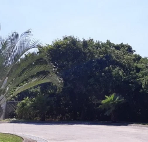 Venta de terreno residencial en Villa magna Cancun con 26 metros de frente